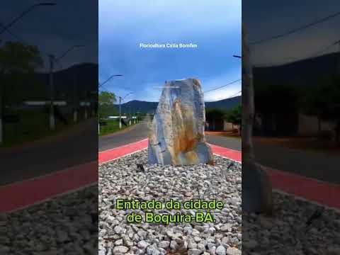 Empresa Floricultura Cátia Bomfim (77) 998050782 Boquira-Ba