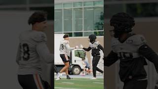 Chase Brice Over the Middle to Hergy Mayala #bclions #cfl #trainingcamp