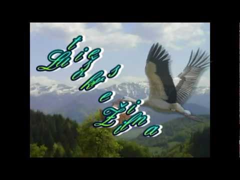 Lutiše-povedz mi mamilá,kde sú Lutiše...