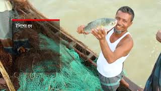 জাতীয় মৎস্য সপ্তাহ ২০২০ ডকুমেন্টারি