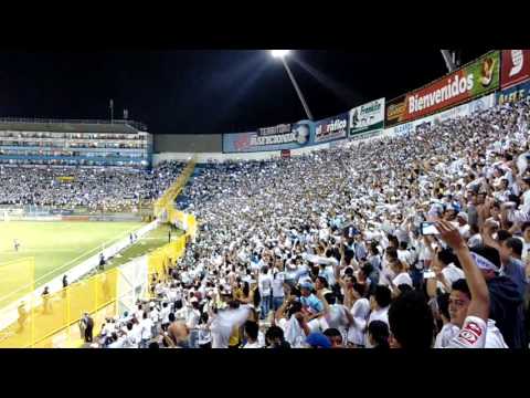 "Como no te voy a querer - Alianza 1-0 Aguila" Barra: La Ultra Blanca y Barra Brava 96 • Club: Alianza