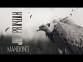 Jah Prayzah Mandionei Official Performance Video