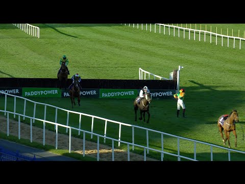 High drama! All change late on at Leopardstown as Tyre Kicker wins... but only just!