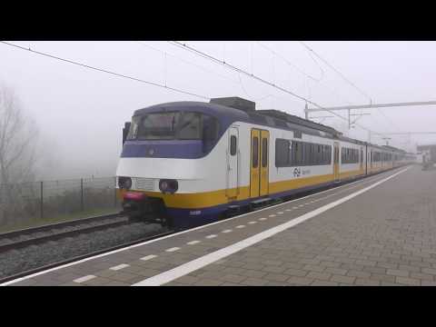 Trains at Abcoude station, NL 22/03/19