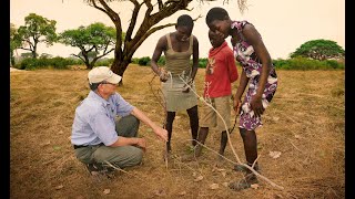 THE FOREST MAKER - Documentary by Volker Schlöndorff