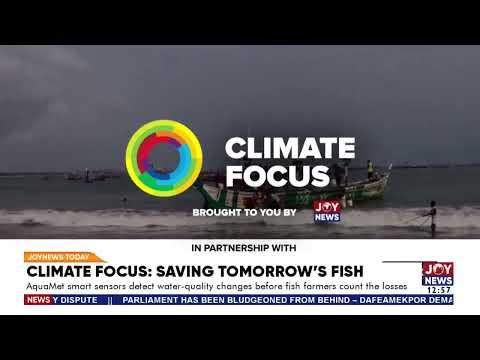 Climate Focus: AquaMet smart sensors detect water quality changes before fish farmers count  losses