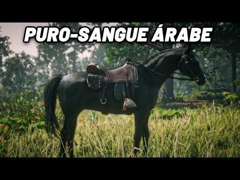 How to get the BLACK PUREBLOOD ARABIAN in RED DEAD REDEMPTION 2