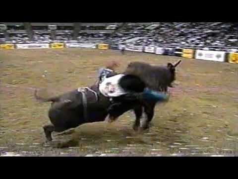 Playmate bucks Rodney Lidgard - 96 PBR San Jose