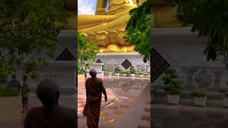 Namo Buddhaya 🙏🙏🙏#buddha #buddhaquotes #b