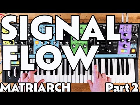 Signal Flow | Part 2 | Moog Matriarch Tutorial
