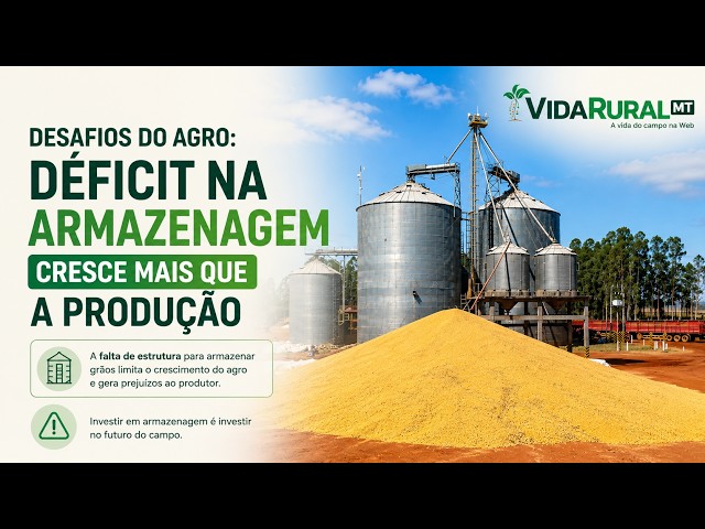 DÉFICIT NA ARMAZENAGEM CRESCE MAIS QUE A PRODUÇÃO