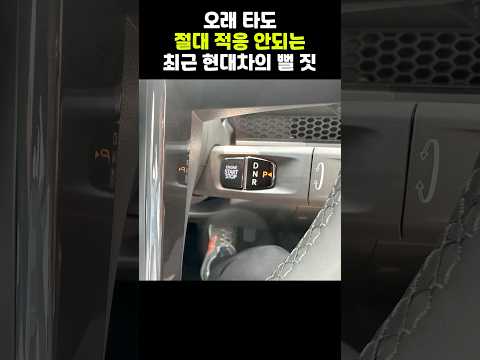 최근 현기차의 상상도 못한 뻘짓거리