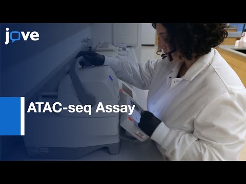 ATAC-seq Assay with Low Mitochondrial DNA Contamination | Protocol Preview