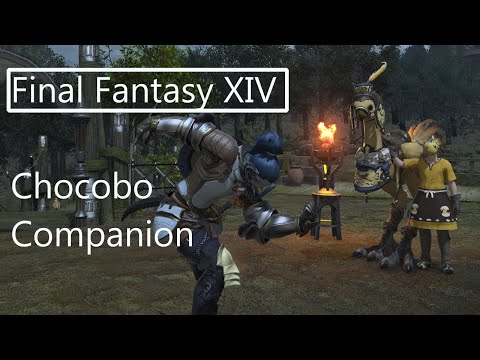 Final Fantasy XIV | How To Get Your Chocobo Companion!