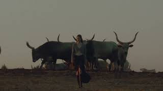 Armani Emporio Armani - 2025 Spring Summer Campaign