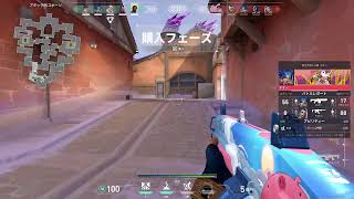 D一族
