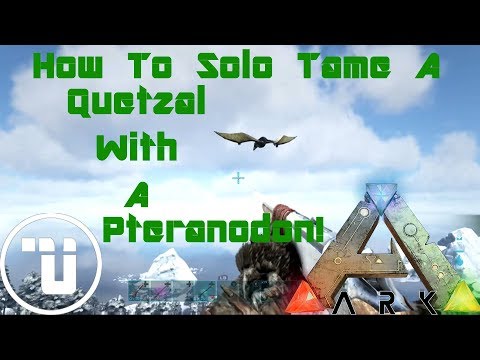 Ark How To Solo Tame A Quetzal With A Pteranodon! | Ark: Survival Evolved