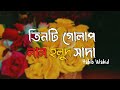 তিনটি গোলাপ লাল হলুদ সাদা Tinti Golap Lal Holud Ar Sada Ha