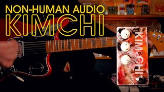 Video thumbnail for Non-Human Audio Kimchi Textural Fuzz Drive || Demo by Noise Generator