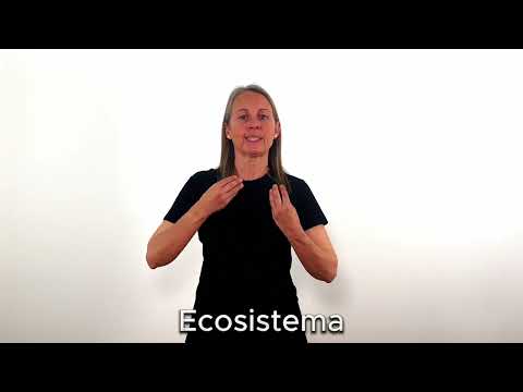 Ecosistema - LSC