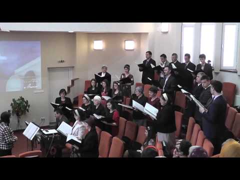 Corul Bisericii Baptiste "Biruinţa" Baia Mare - Regele nostru e minunat! - 21.04.2014