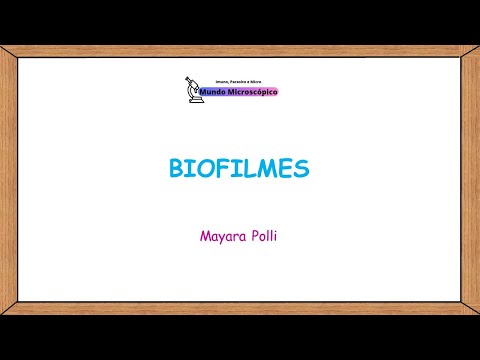 Biofilmes | O que são os biofilmes microbianos?