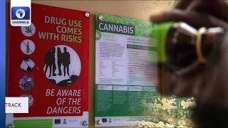 Drug Abuse: Stakeholders Raise Alarm Over Growing Addiction Crisis