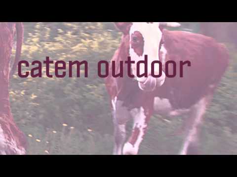 catem outdoor (09.07.2011)