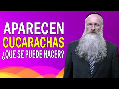 Cockroaches Appear, What Can You Do?