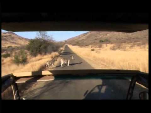 Rolene Strauss | Miss SA Finalist 2011