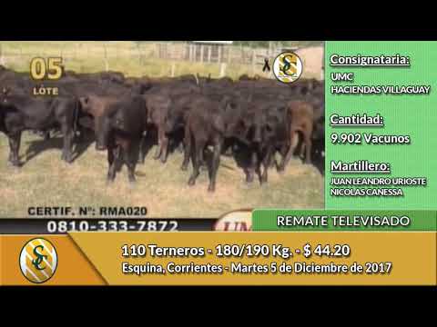 05-12-17 - Remate Televisado de UMC & Haciendas Villaguay - Corrientes