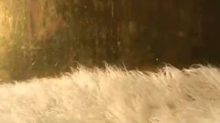 seabear - hands remember