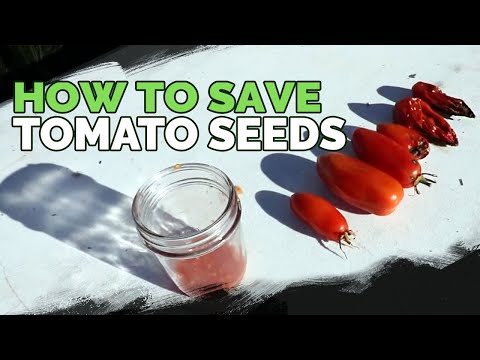 Flow Through Worm Bins Explained A Different Type of Vermicomposting