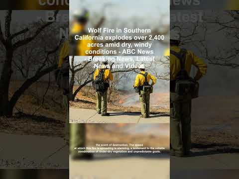 Wolf Fire California Inferno