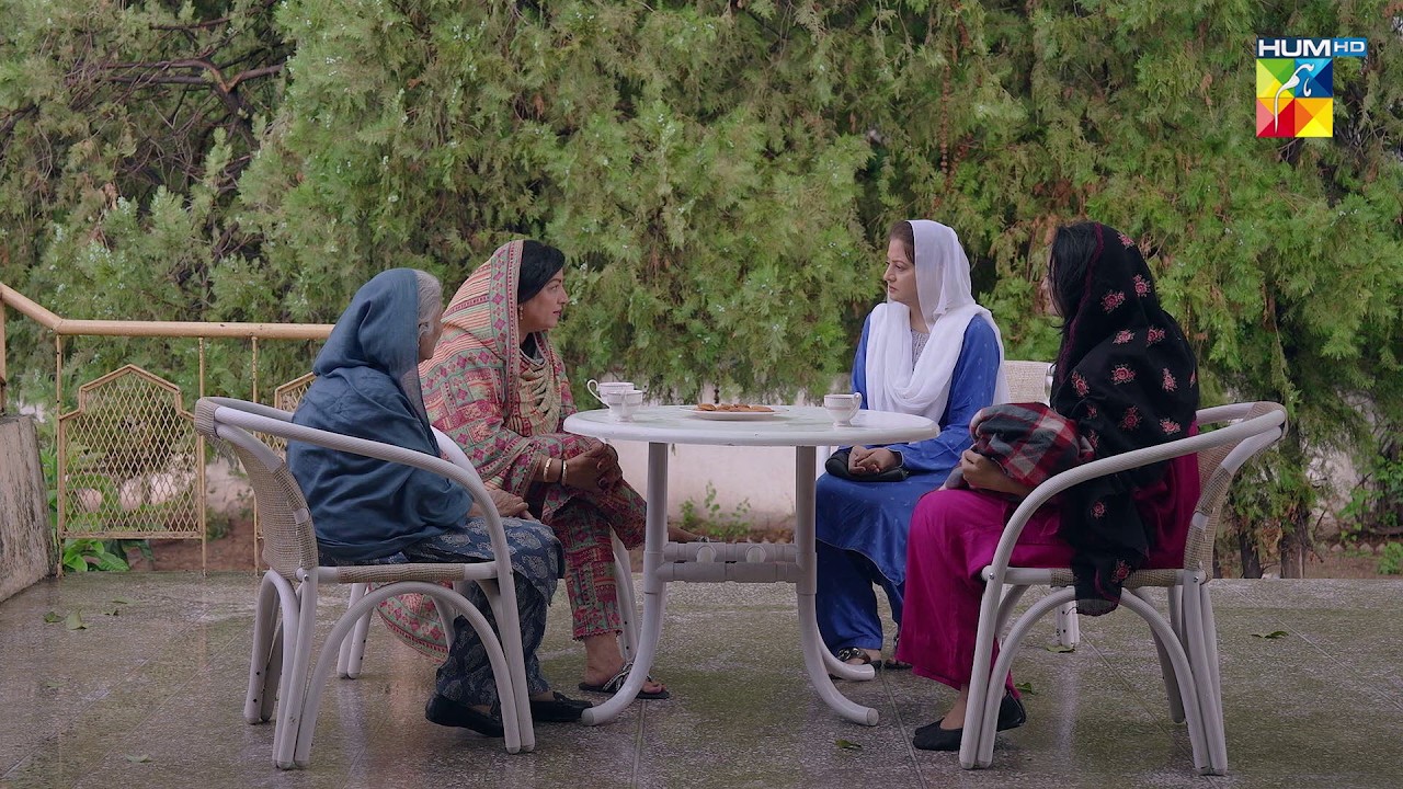 Meri Betiyan Tumhari Beti Ki Tarha Badkirdar Nahi Hain | #nabeelzuberi #minsamalik #Hadd #HUMTV