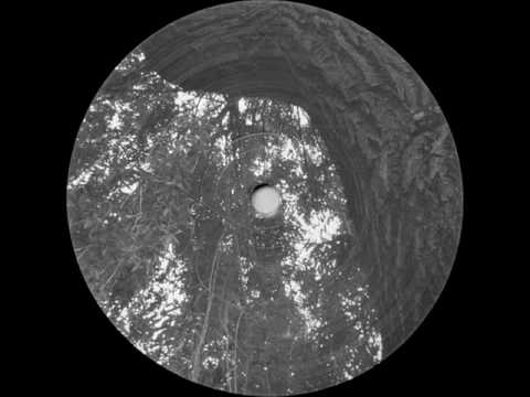 R3503 - 5M8 V3R510N II