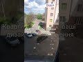 Видео превью
