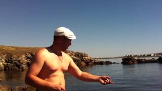 Все о рыбалке на азовском море в щелкино