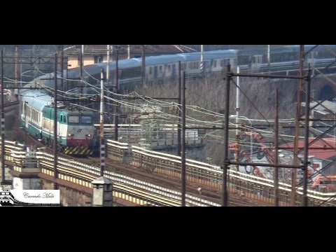 E656 431 pellegrini 140000