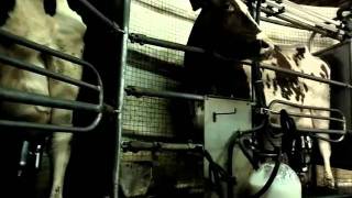 Konzerthaus Dortmund: Concert Milk