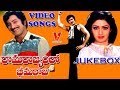 RAMARAJYAMLO BHEEMARAJU VIDEO SONGS JUKEBOX KRISHNA SRIDEVI V9 VIDEOS