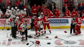 Flames & Red Wings brawl will lead to severe punishment from the league