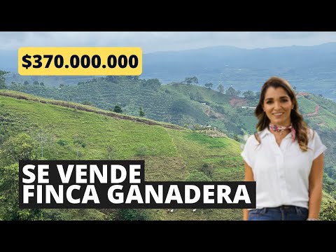 Finca GANADERA en venta Córdoba Quindío 12 cuadras BARATA!!!