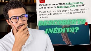 Como antidepressivos foram parar dentro dos tubarões?