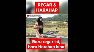 Download lagu Boru Regar Isi Boru Harahap Ison #shorts #viral #lawakbatak mp3 Download lagu Boru Regar Isi Boru Harahap Ison #shorts #viral #lawakbatak mp3