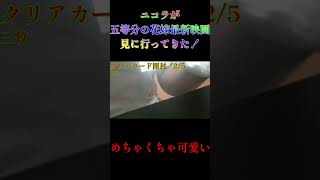 ニコラが五等分の花嫁新作映画見にってグッズを購入してきた！♯SHORT