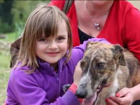 Scooby Italia - Adozioni 2013