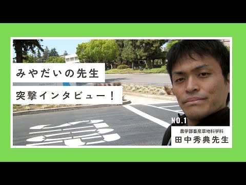 みやだいの先生 突撃インタビュー！～田中秀典先生（農学部 畜産草地科学科 草類遺伝資源・育種学分野）～