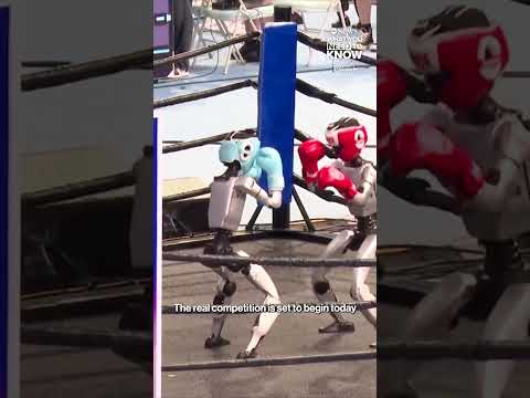 Robots compete in the the first-ever World Humanoid Robot Games in Beijing