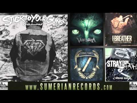 STICK TO YOUR GUNS - Ring Loud (Last Hope)